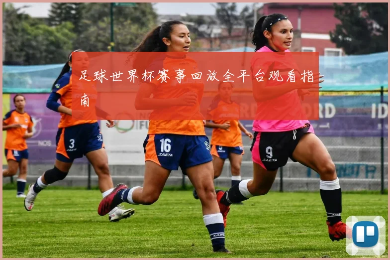 足球世界杯赛事回放全平台观看指南